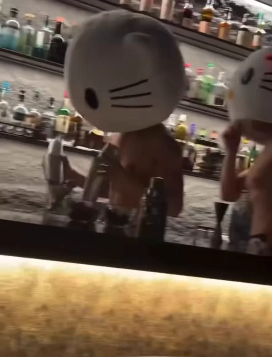 Nana 动态媒体 2